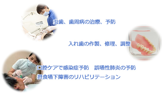 「虫歯、歯周病の治療、予防」や「入れ歯の作製、修理」、「調整・口腔ケアで感染症予防 誤嚥性肺炎の予防」「摂食嚥下障害のリハビリテーション」
